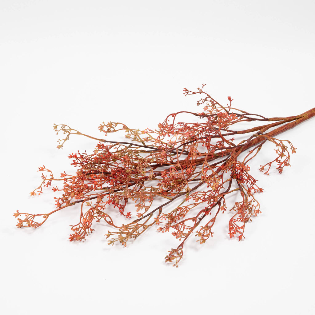 Rosa Caspia Stem - 35" - Dusty Pink