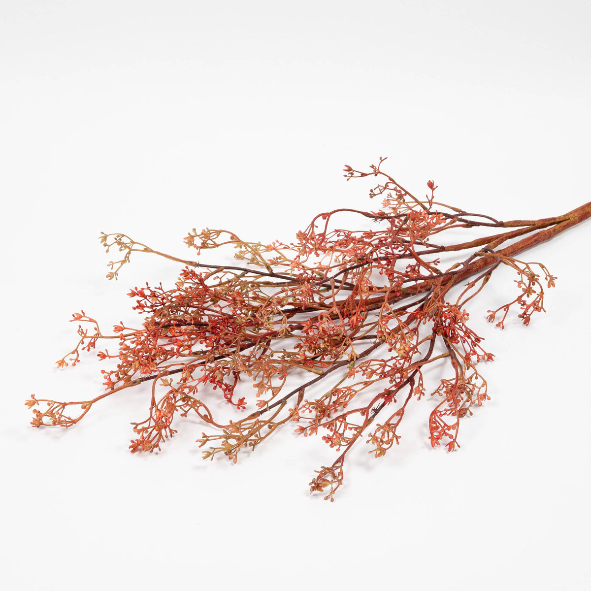 Rosa Caspia Stem - 35" - Dusty Pink