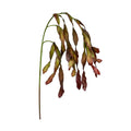 35-inch Hanging Seed Leaves Spray with cascading green, olive and burgundy faux foliage