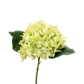 13-inch Limelight Green faux Hydrangea Stem with full layered bloom and green leaves