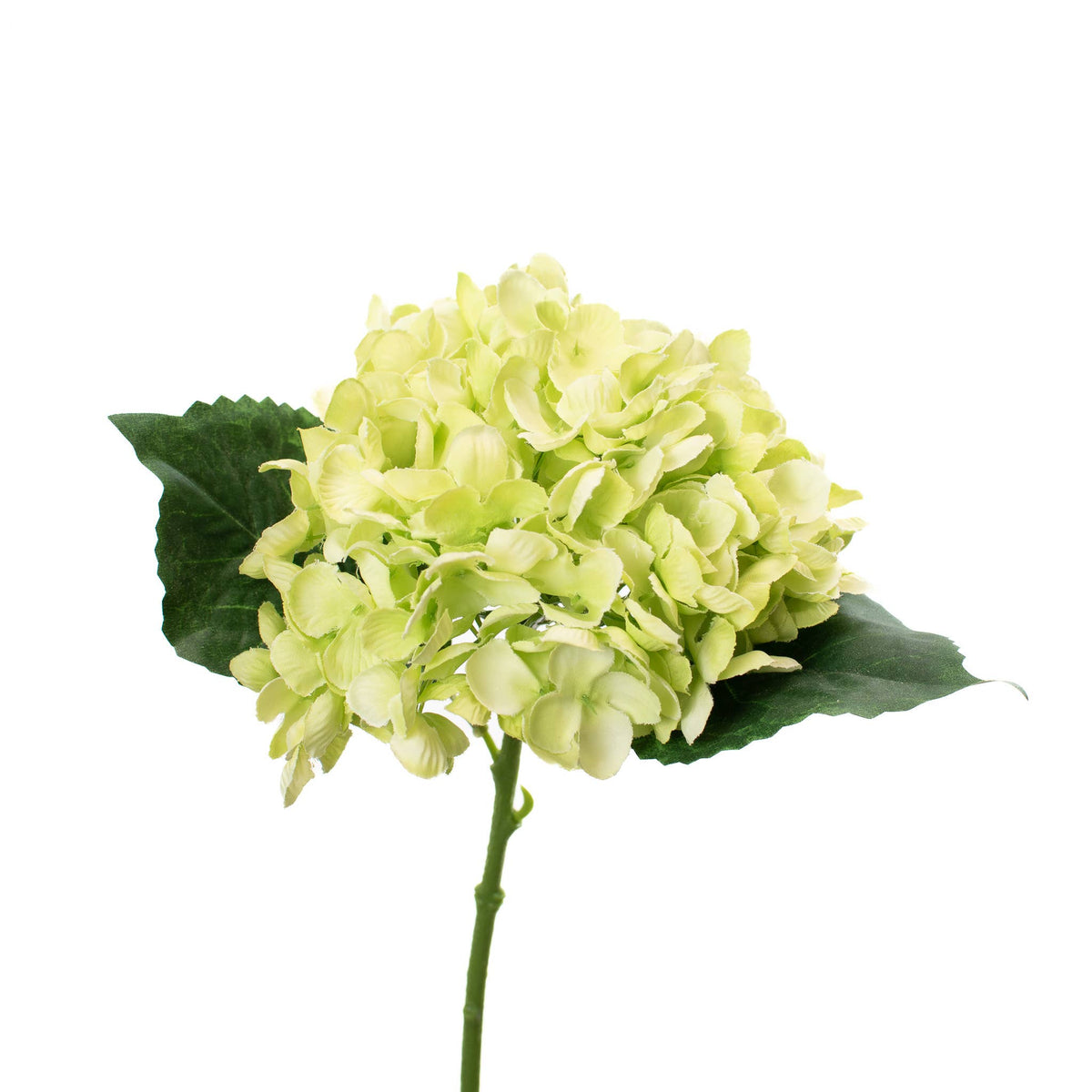 13-inch Limelight Green faux Hydrangea Stem with full layered bloom and green leaves