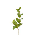 Salal Leaf Spray - 30" Green
