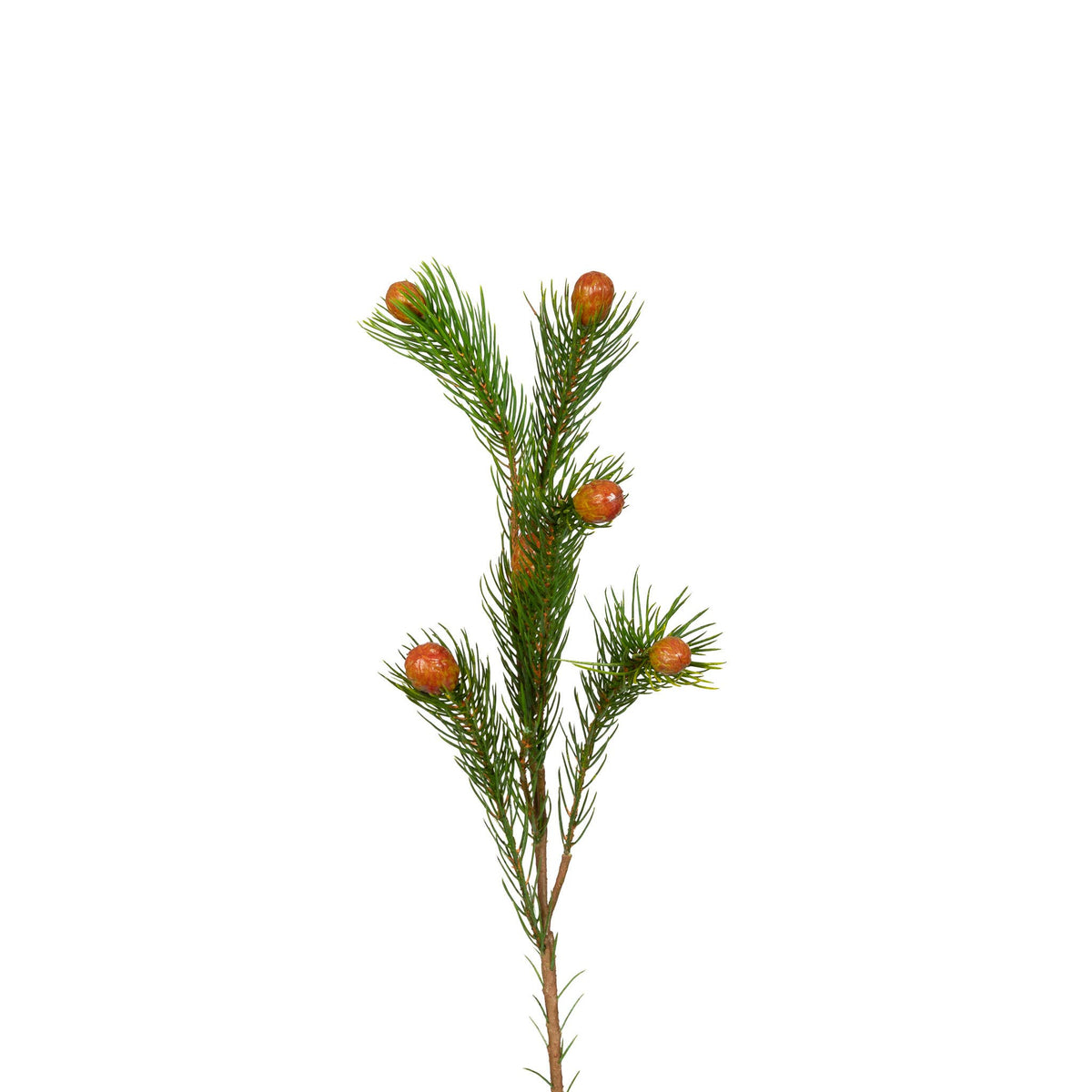 27-inch Protea Berry Nana artificial botanical stem with fine green foliage and rust-colored pods
