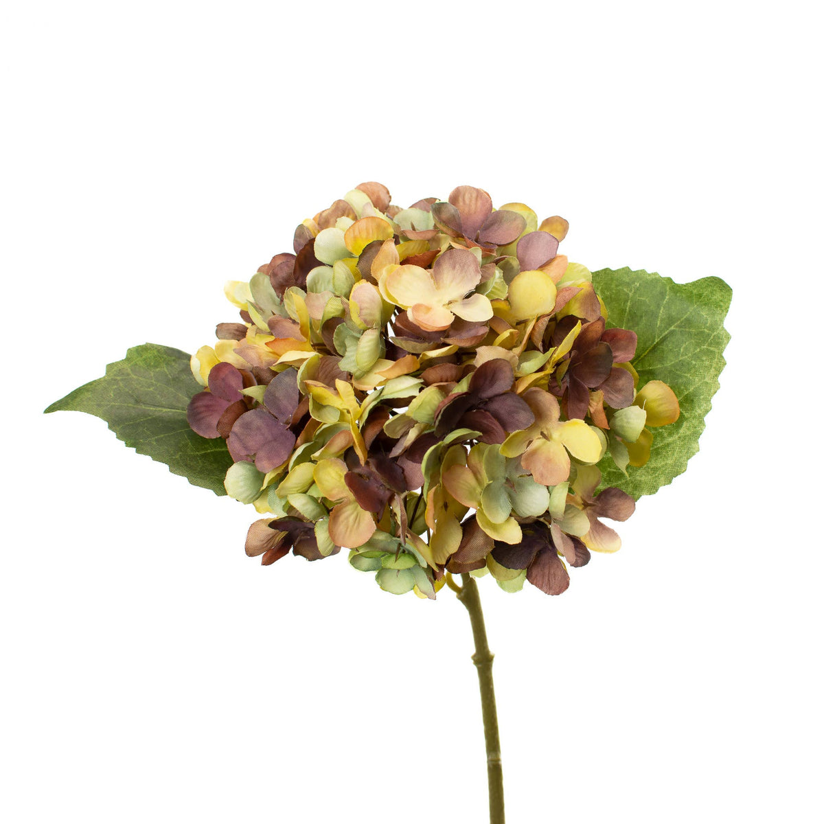 Hydrangea Stem - 13" - Tuscan