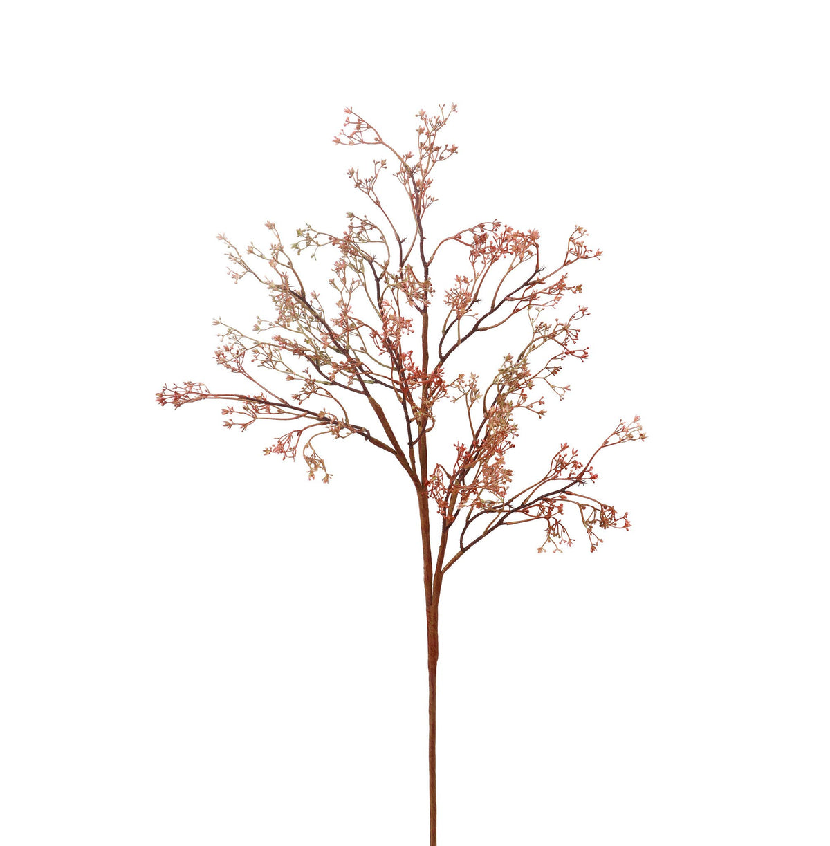 Rosa Caspia Stem - 35" - Dusty Pink