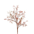 Rosa Caspia Stem - 35" - Dusty Pink