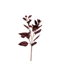 A single decorative branch with dark burgundy-purple leaves on a plain white background.