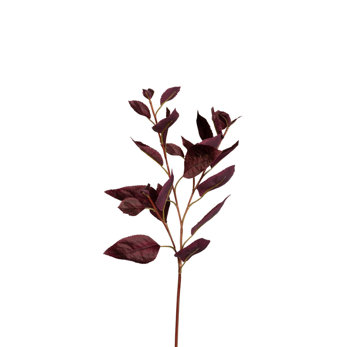 A single decorative branch with dark burgundy-purple leaves on a plain white background.