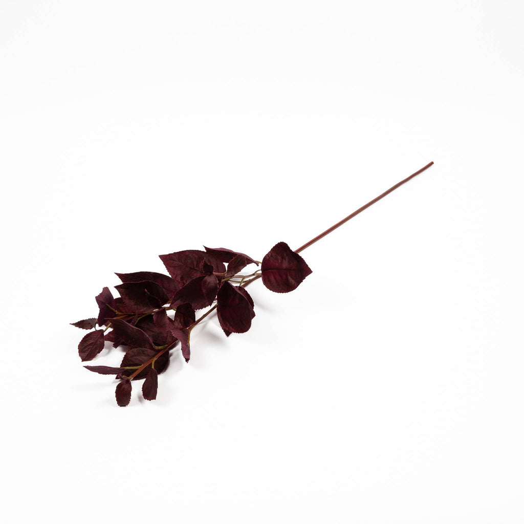 Coleus Stem - 30" Burgundy