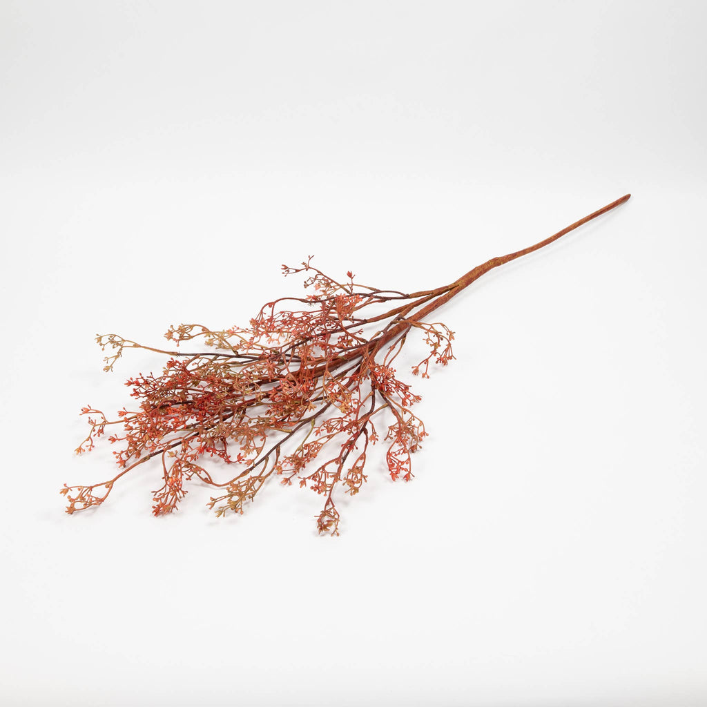 Rosa Caspia Stem - 35" - Dusty Pink