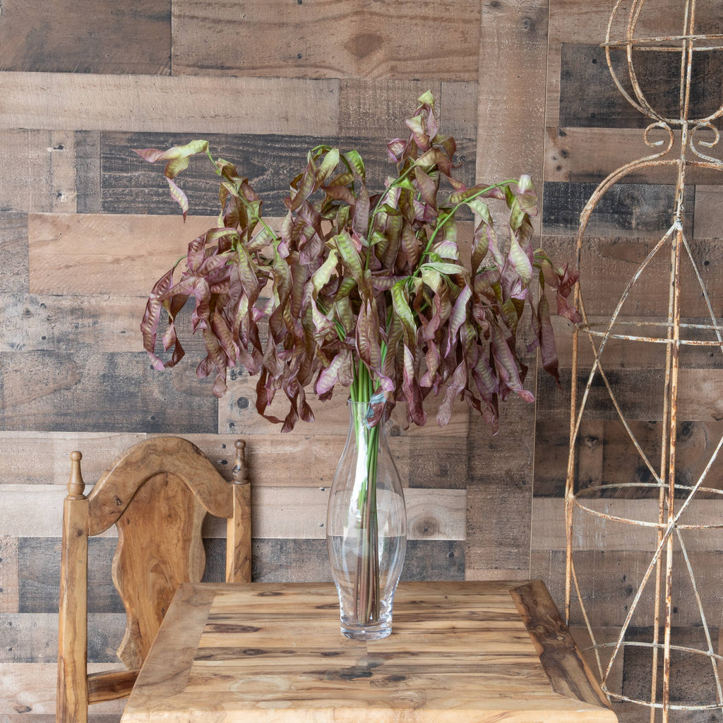 Green and burgundy Hanging Seed Leaves Spray showing long cascading foliage and natural movement