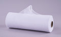 Roll of white polypropylene deco mesh measuring 10 inches wide by 10 yards long.